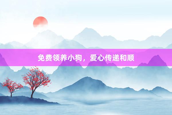 免费领养小狗，爱心传递和顺
